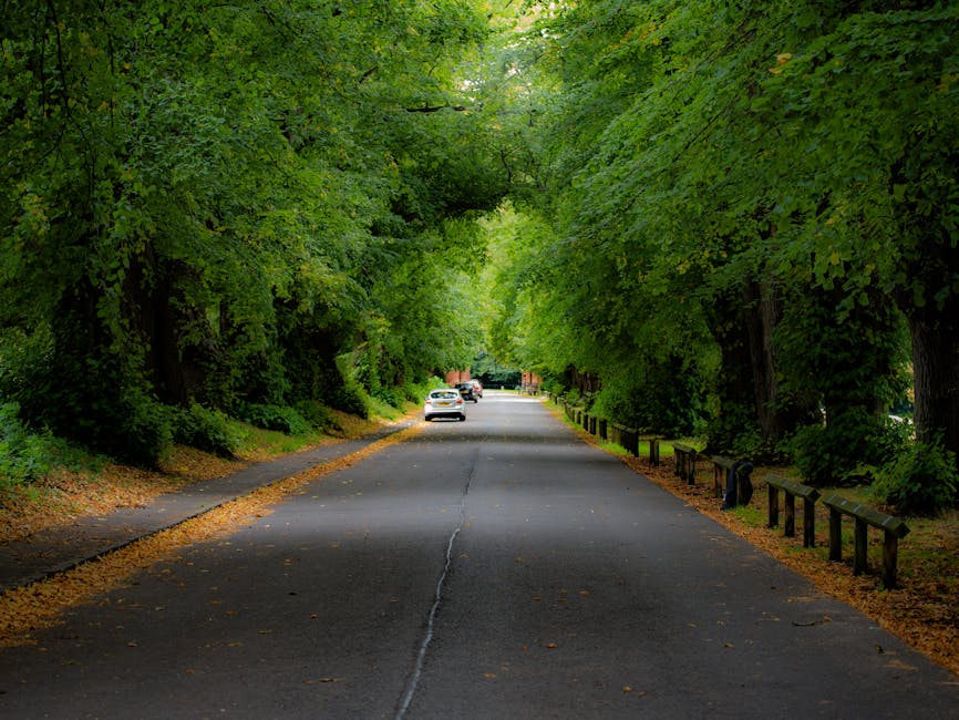 A tree-lined residential street with a paved road and a sidewalk on the left side. Tall, lush green trees arch overhead, forming a canopy that filters sunlight onto the pavement. Several cars are parked along the curb, and the scene appears calm and quiet. The environment suggests a suburban area suitable for home relocations or moving services, with no visible moving equipment, boxes, or furniture present in the image. The setting is idyllic and clean, with fallen leaves scattered on the edge of the road, and wooden barriers on the right side to protect pedestrians. This scene may be relevant to logistics of furniture transport or packing and moving processes, highlighting the peaceful approach for house removals in a residential neighbourhood. The image reflects an outdoor environment where [COMPANY_NAME] might operate during a move from a property in Woodford Green, with a focus on careful planning of transportation through tree-lined streets.